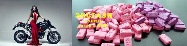 гидра Ветлуга