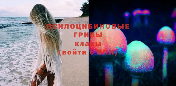 молекула духа Осташков
