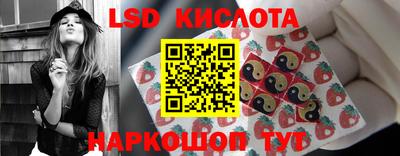 прущие крисы Гатчина