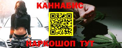 прущие крисы Гатчина