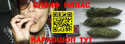 СК Гагарин
