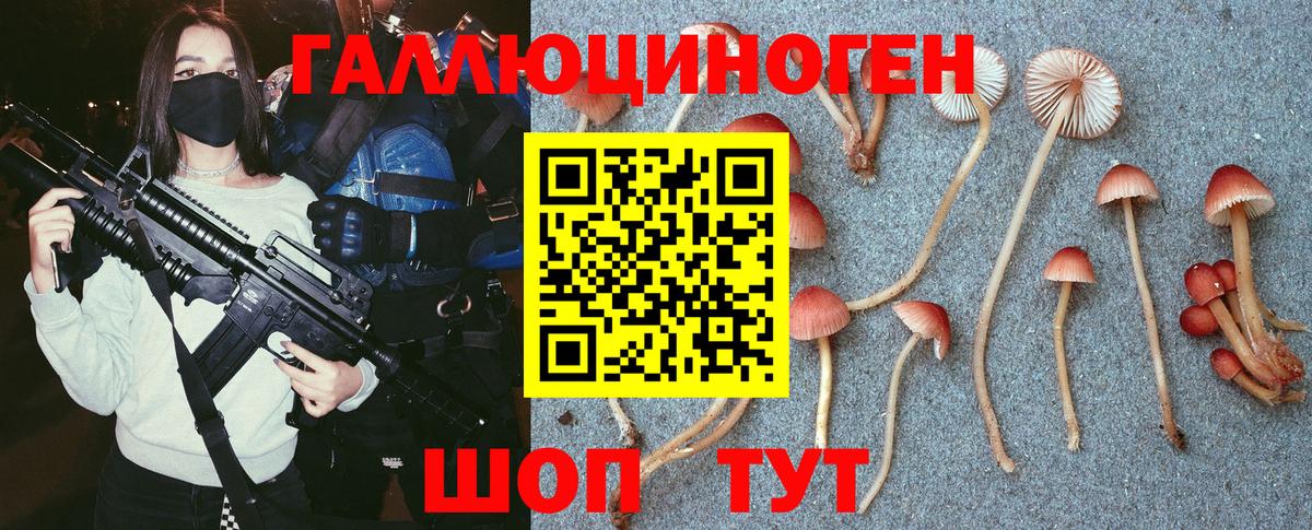 Псилоцибиновые грибы мухоморы Чита