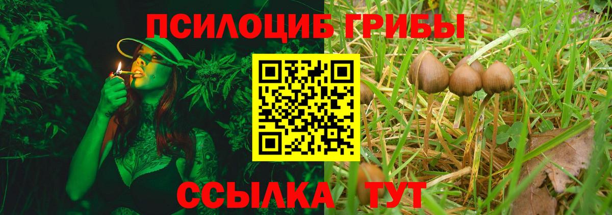 Псилоцибиновые грибы GOLDEN TEACHER  Галлюциногенные грибы Psilocybine cubensis  Чита 