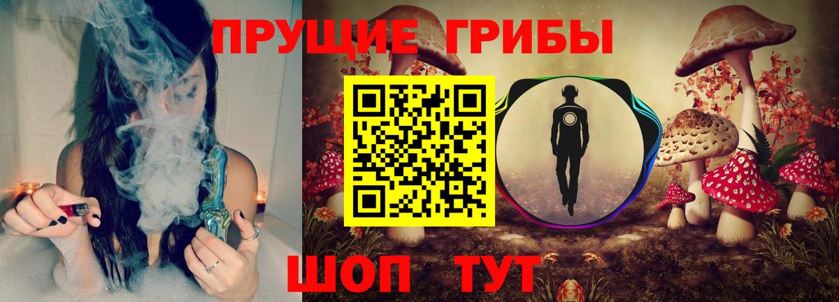 Чита  Галлюциногенные грибы MAGIC MUSHROOMS  Вход с VPN  Псилоцибиновые грибы GOLDEN TEACHER 