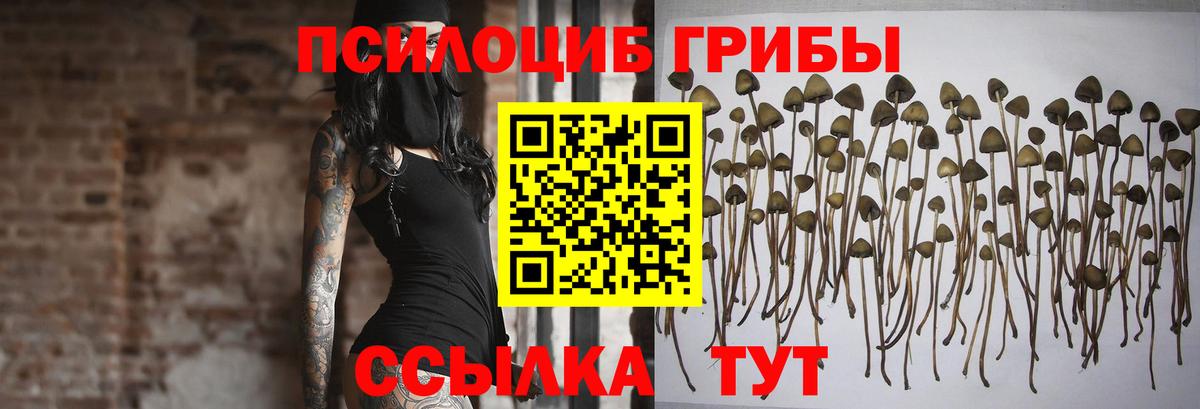 Псилоцибиновые грибы мицелий Чита
